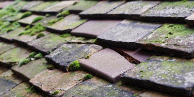 Mellor roof repair costs